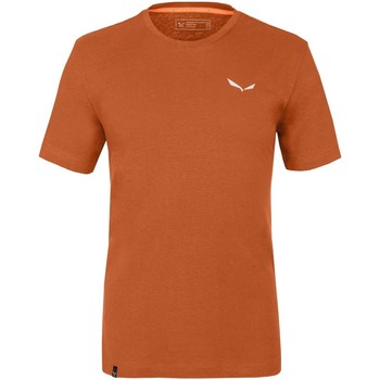 tekstylia Męskie T-shirty i Koszulki polo Salewa Pure Dolomites Hemp Men's T-Shirt 28329-4170 Pomarańczowy