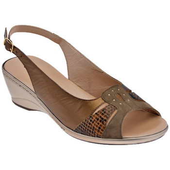 Sapatos Mulher Sapatilhas Confort 7038 Outros