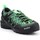 Sapatos Homem Sapatos de caminhada Salewa MS Wildfire Edge Gtx Preto, Verde