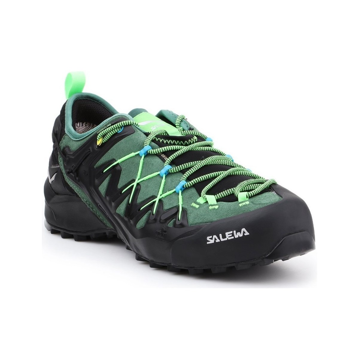 Sapatos Homem Sapatos de caminhada Salewa MS Wildfire Edge Gtx Preto, Verde