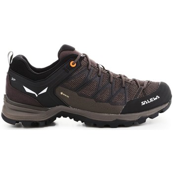 Sapatos Homem Sapatos de caminhada Salewa Mtn Trainer Lite Gtx Preto, Castanho