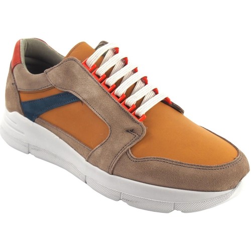 Sapatos Homem Multi-desportos Riverty Sapato cavaleiro  949 castanho Amarelo