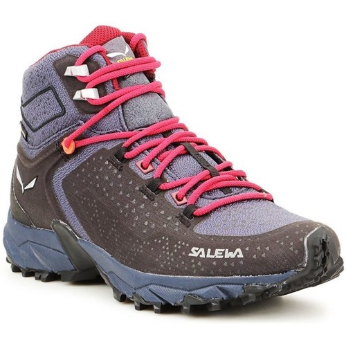 Sapatos Mulher Sapatos de caminhada Salewa Alpenrose 2 Mid Gtx Cinzento, Castanho