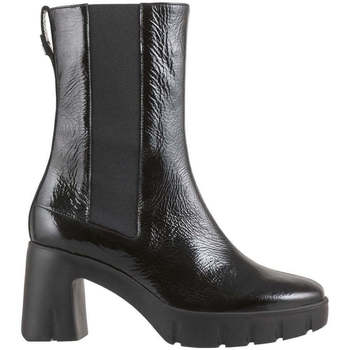 Sapatos Mulher Botins Högl  Preto