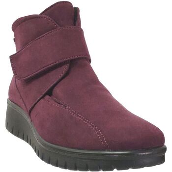 Sapatos Mulher Botas baixas Westland Calais 53 Vermelho