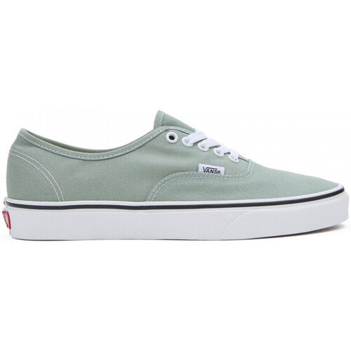 Sapatos Sapatos estilo skate Vans Authentic Verde