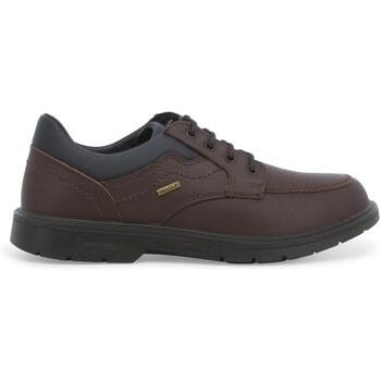 Sapatos Homem Mocassins Melluso U15477W-238858 Castanho