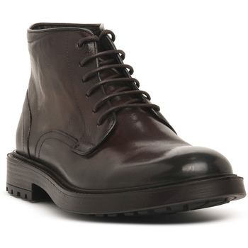 Sapatos Homem Botas Exton CASTAGNO VITELLO Castanho