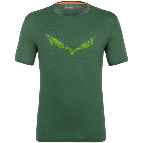 Îmbracaminte Bărbați Tricouri & Tricouri Polo Salewa Pure Hardware Merino Men's T-Shirt 28384-5320 verde