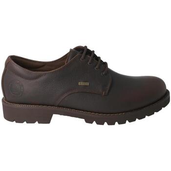 Pantofi Bărbați Pantofi Oxford
 Panama Jack  Maro