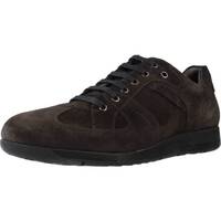 Pantofi Bărbați Pantofi Derby Stonefly LONDON 1 VELOUR Maro