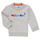 textil Pojkar Sweatshirts Petit Bateau TERRI Grå