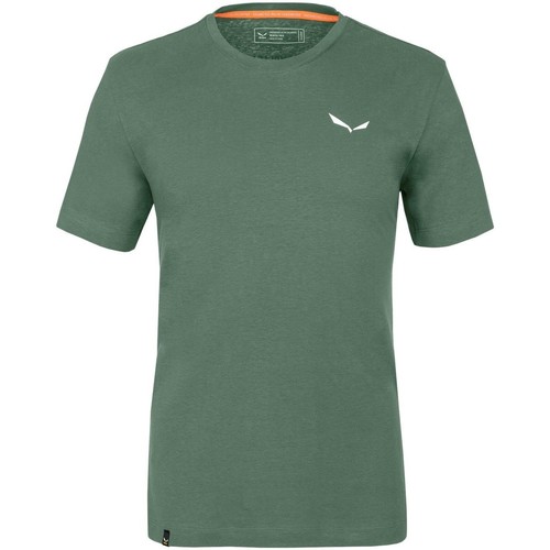 textil Herr T-shirts & Pikétröjor Salewa Pure Dolomites Hemp Men's T-Shirt 28329-5320 Grön