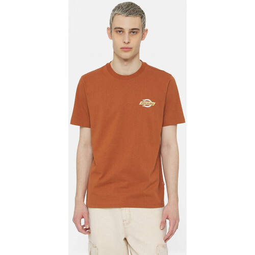 textil Herr T-shirts & Pikétröjor Dickies Ss ruston tee Brun