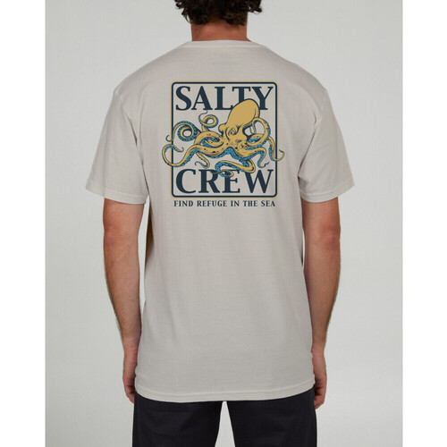 Oblačila Moški Majice & Polo majice Salty Crew Ink slinger standard s/s tee Bež