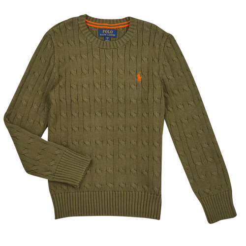 Oblečenie Deti Svetre Polo Ralph Lauren LS CABLE CN-TOPS-SWEATER Kaki