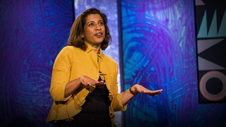 Chitra Aiyar  - TED Talk