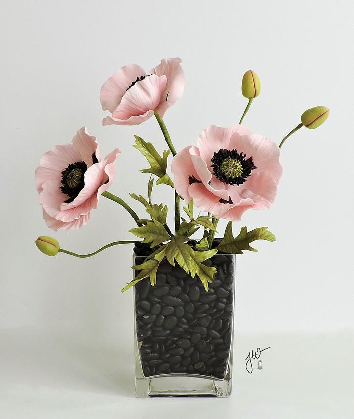 Oriental Poppies