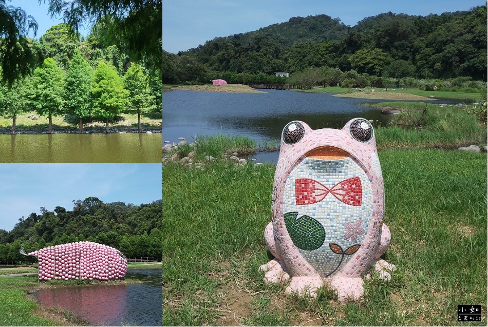 【大溪景點】月眉人工濕地生態公園,整排落羽松,可愛青蛙,粉紅