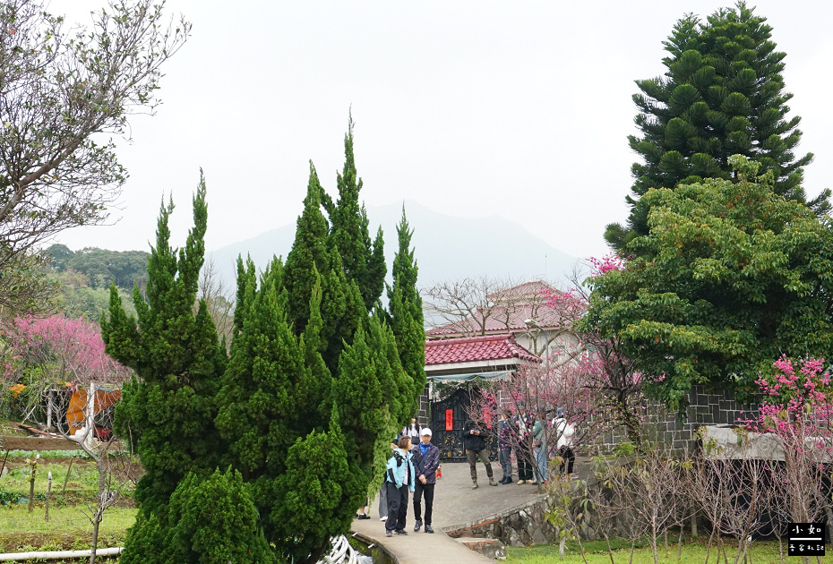 【北投步道】十八份水圳步道,沿路水圳聲伴陪,深山裡的楓香觀景