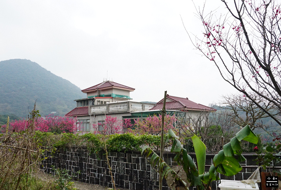 【北投步道】十八份水圳步道,沿路水圳聲伴陪,深山裡的楓香觀景