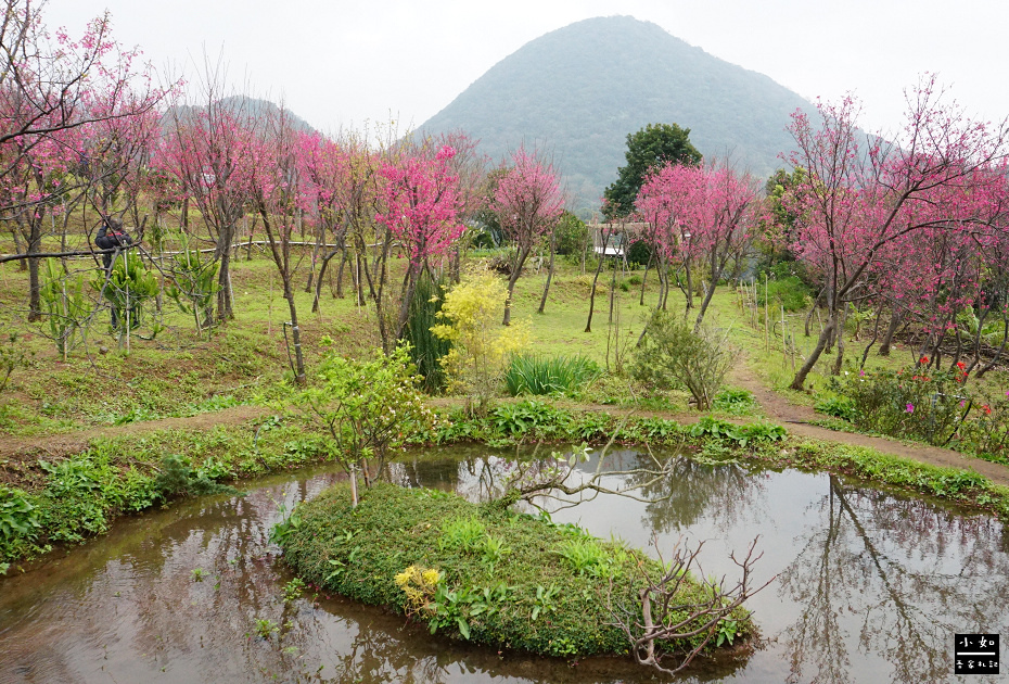 【北投步道】十八份水圳步道,沿路水圳聲伴陪,深山裡的楓香觀景