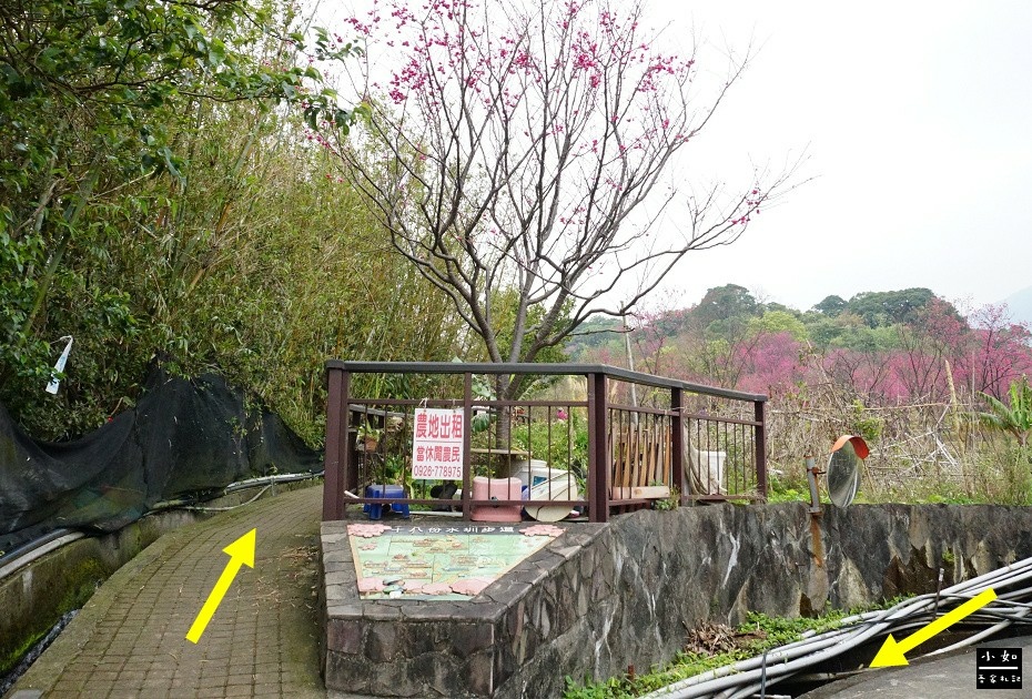 【北投步道】十八份水圳步道,沿路水圳聲伴陪,深山裡的楓香觀景