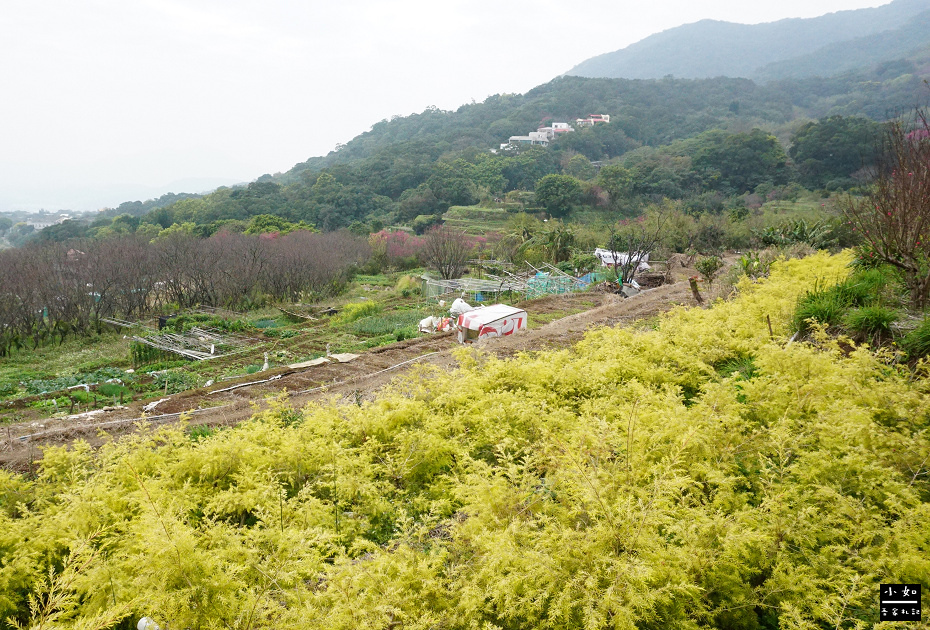 【北投步道】十八份水圳步道,沿路水圳聲伴陪,深山裡的楓香觀景