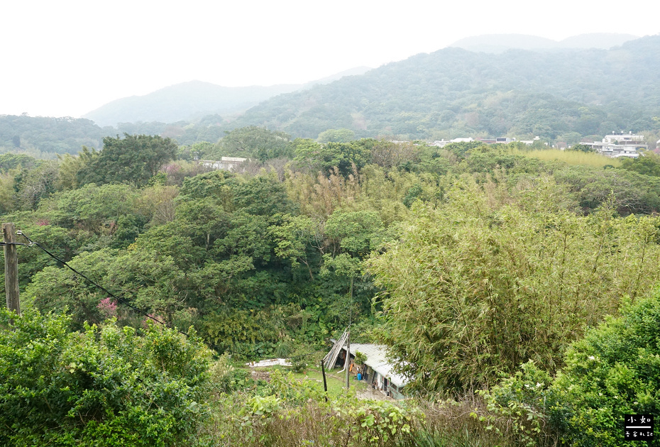 【北投步道】十八份水圳步道,沿路水圳聲伴陪,深山裡的楓香觀景