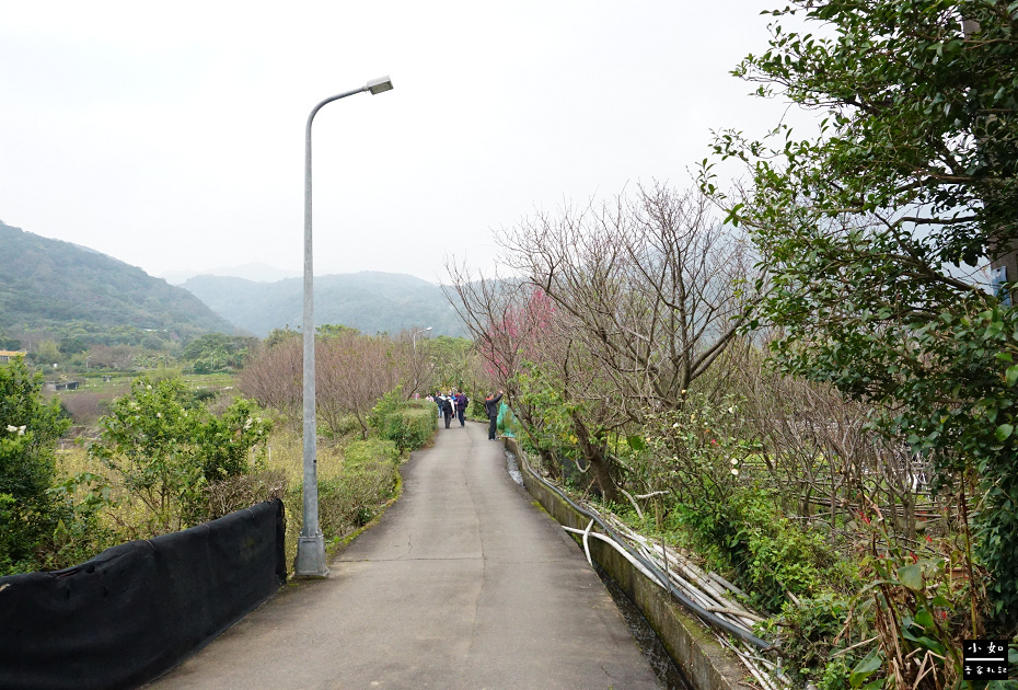 【北投步道】十八份水圳步道,沿路水圳聲伴陪,深山裡的楓香觀景