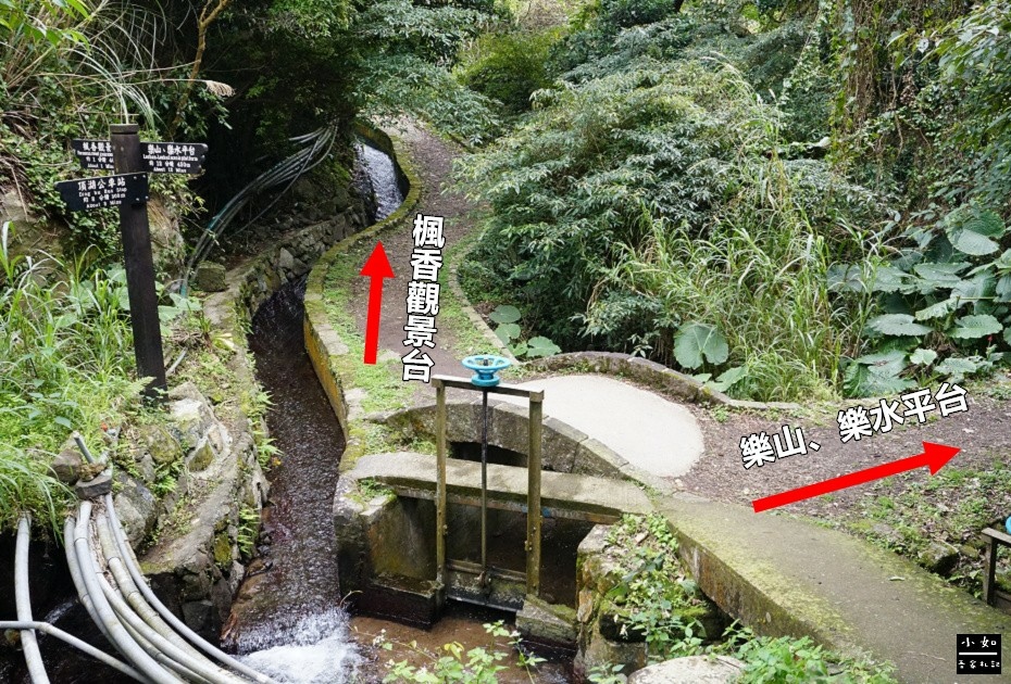 【北投步道】十八份水圳步道,沿路水圳聲伴陪,深山裡的楓香觀景