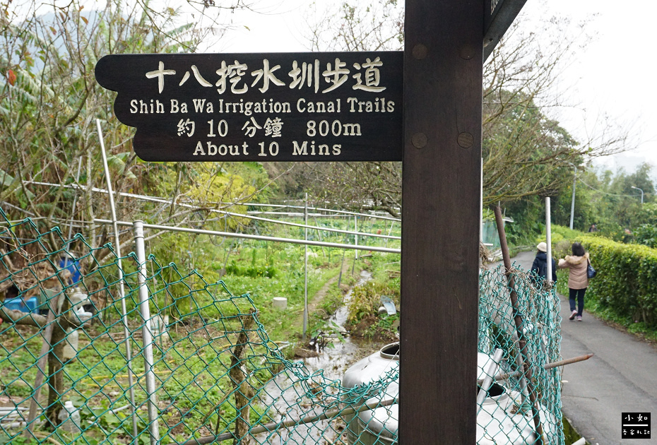 【北投步道】十八份水圳步道,沿路水圳聲伴陪,深山裡的楓香觀景