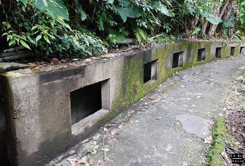 【北投步道】十八份水圳步道,沿路水圳聲伴陪,深山裡的楓香觀景