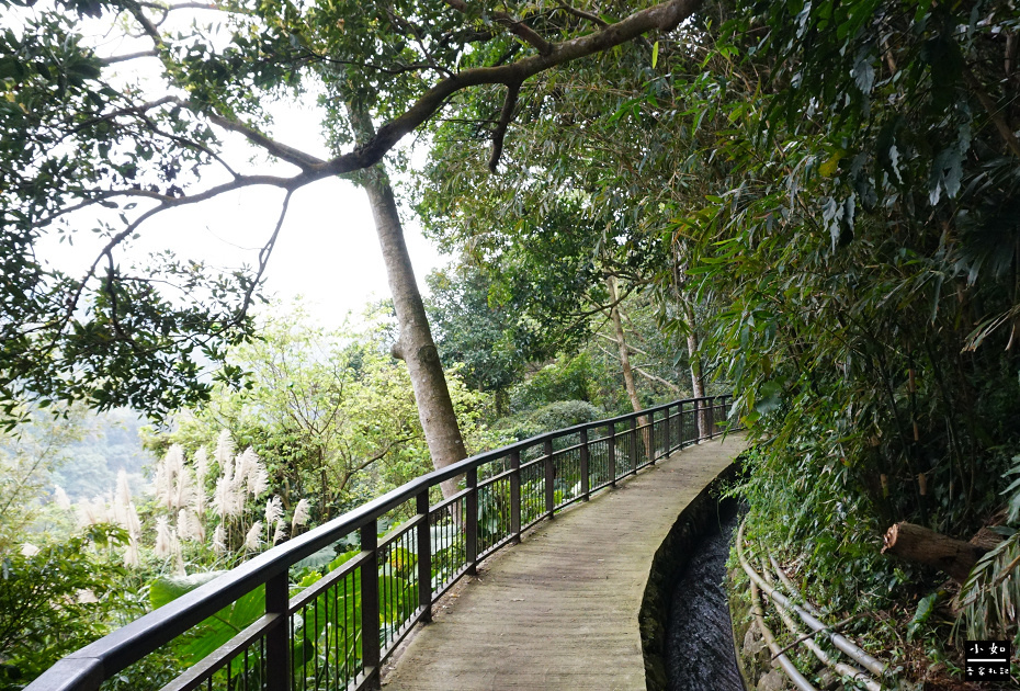 【北投步道】十八份水圳步道,沿路水圳聲伴陪,深山裡的楓香觀景