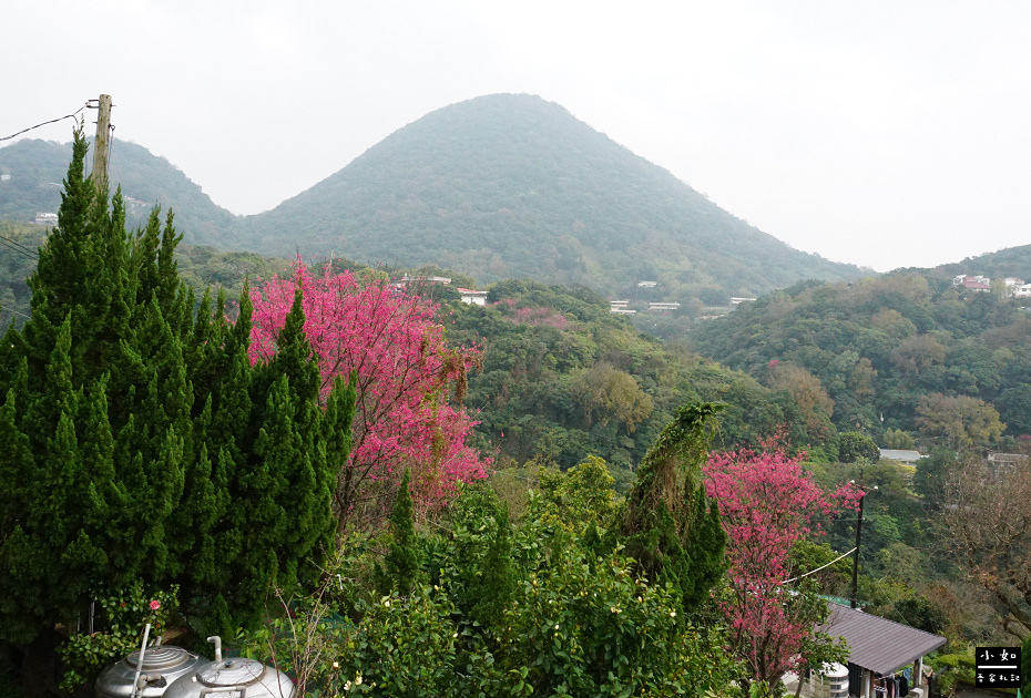 【北投步道】十八份水圳步道,沿路水圳聲伴陪,深山裡的楓香觀景