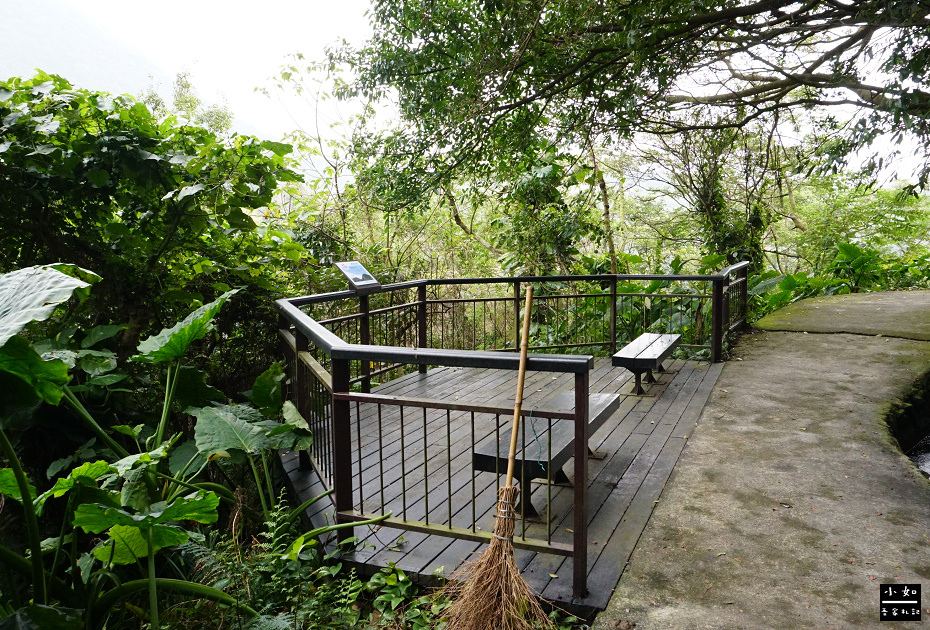 【北投步道】十八份水圳步道,沿路水圳聲伴陪,深山裡的楓香觀景