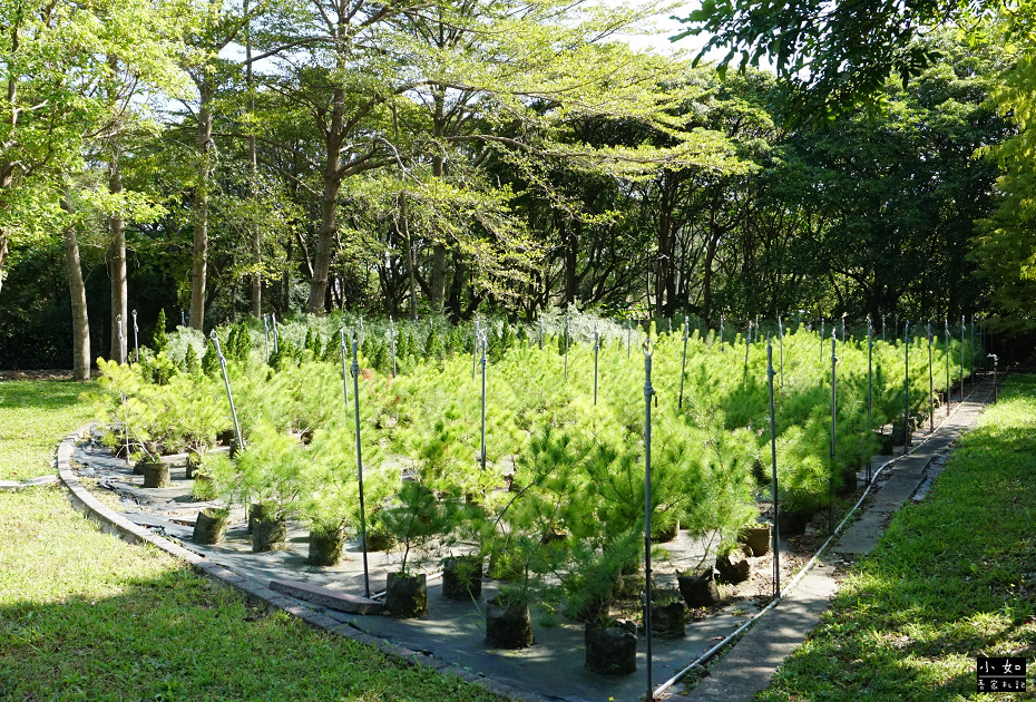 【龜山景點】龜山苗圃綠環境生態園區,白色溫室玻璃屋,遠拍近拍