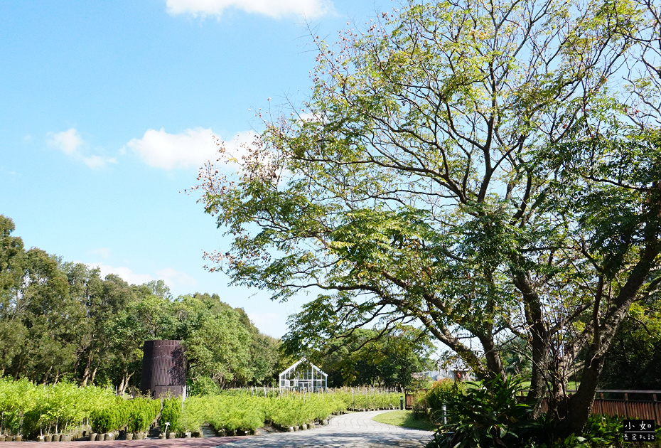 【龜山景點】龜山苗圃綠環境生態園區,白色溫室玻璃屋,遠拍近拍