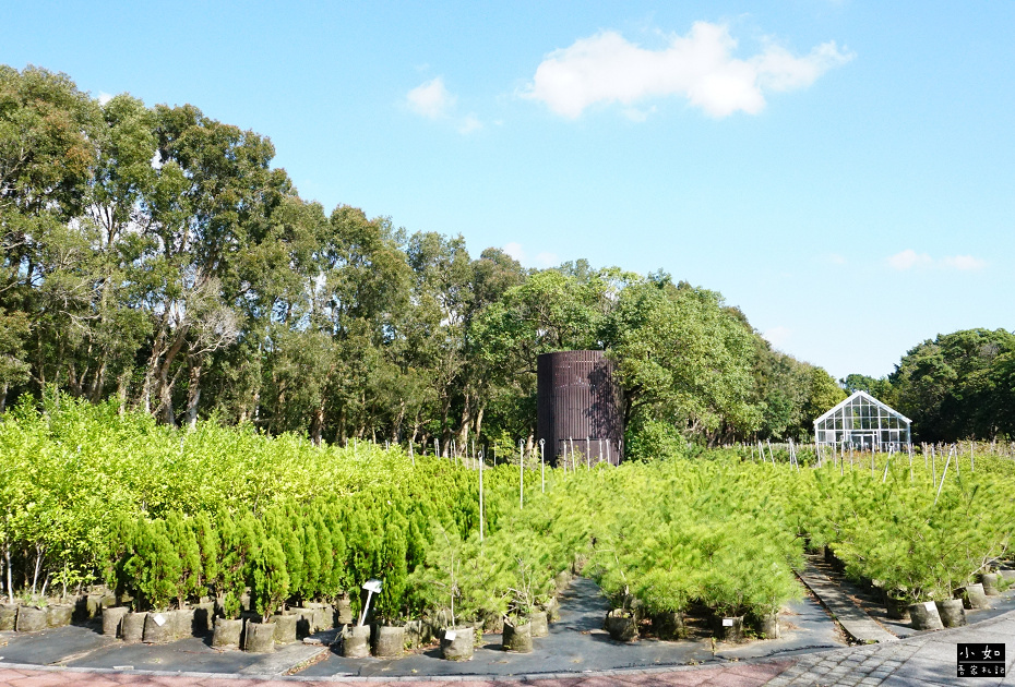 【龜山景點】龜山苗圃綠環境生態園區,白色溫室玻璃屋,遠拍近拍