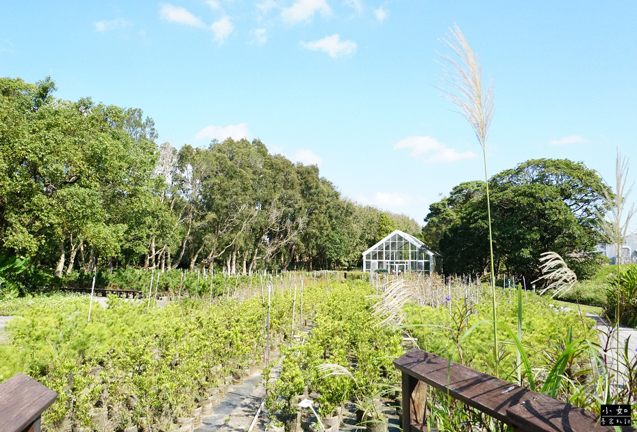 【龜山景點】龜山苗圃綠環境生態園區,白色溫室玻璃屋,遠拍近拍