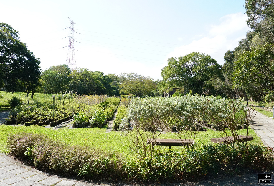 【龜山景點】龜山苗圃綠環境生態園區,白色溫室玻璃屋,遠拍近拍