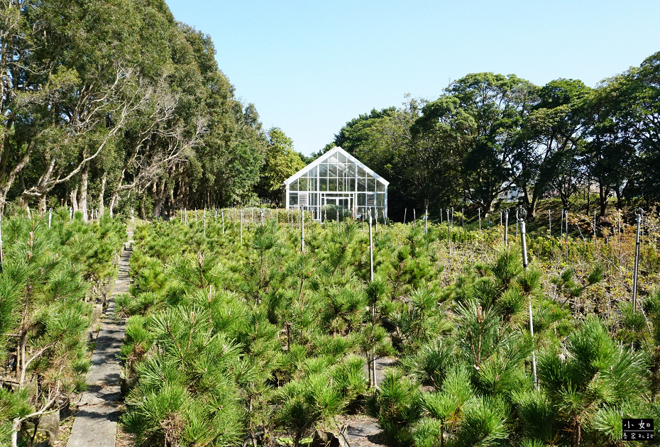 【龜山景點】龜山苗圃綠環境生態園區,白色溫室玻璃屋,遠拍近拍