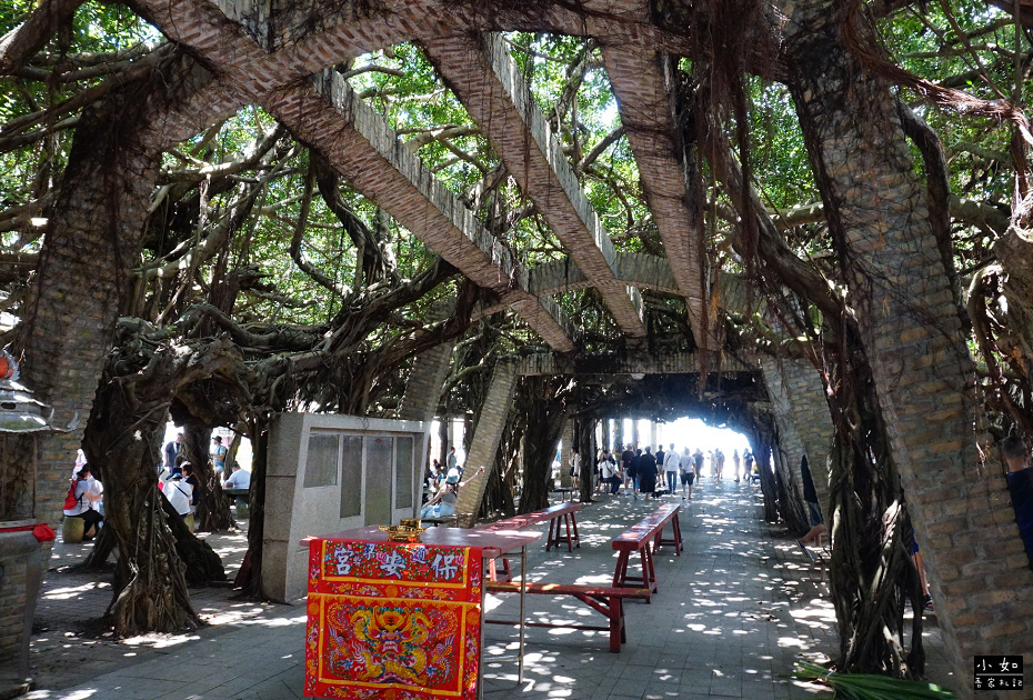 【澎湖旅遊】2024澎湖三天兩夜,行程規劃,澎湖本島玩起來,