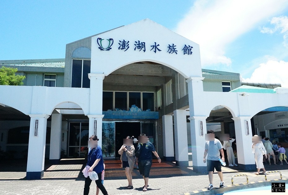 【澎湖白沙景點】2024澎湖水族館,觸摸池摸海星,精彩餵食秀