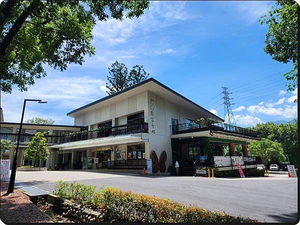 【高雄六龜】生態人文品茗一日遊☆新威森林公園(桃花心木步道)