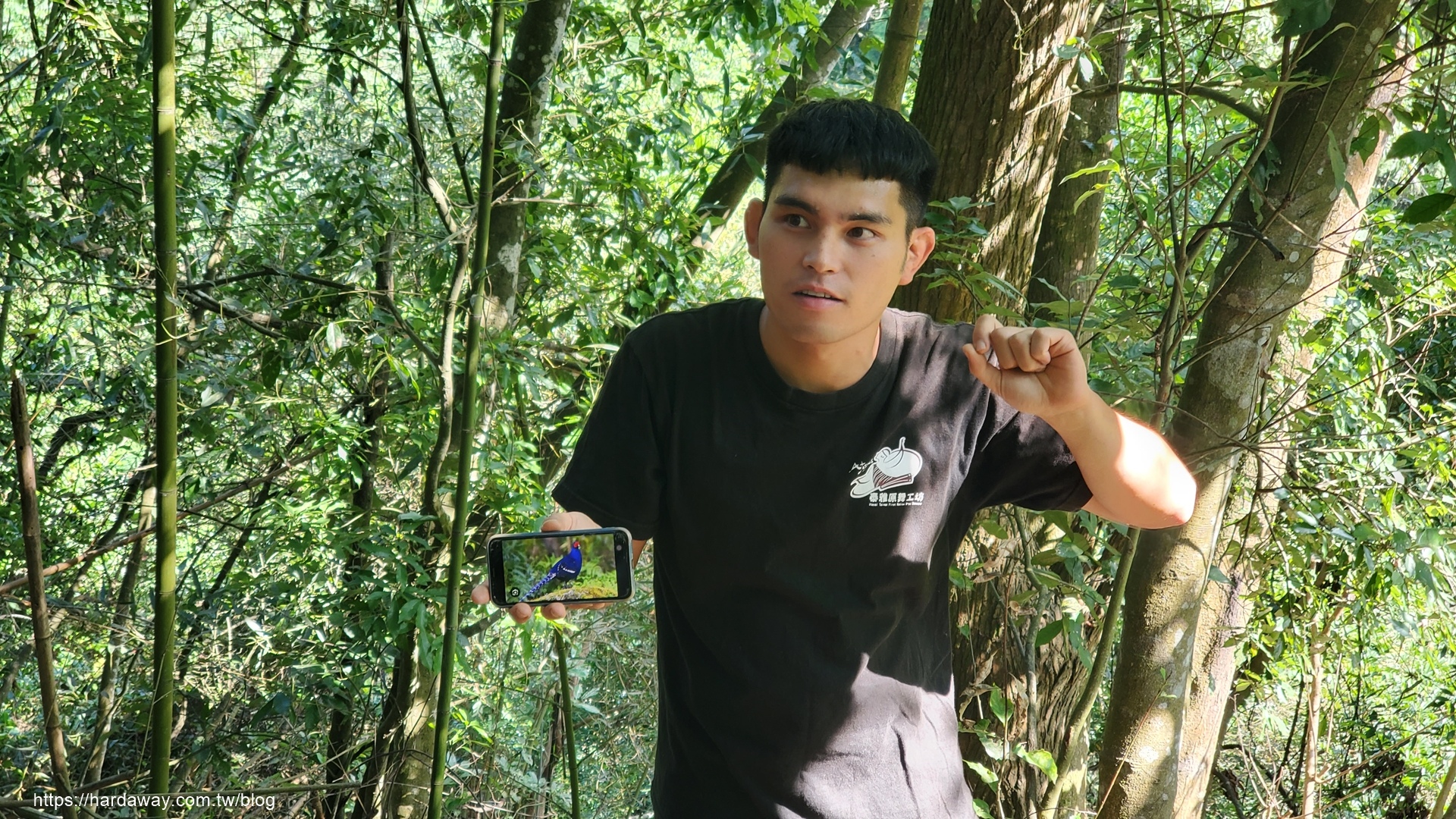 泰雅族獵人獵徑藍腹鷴步道