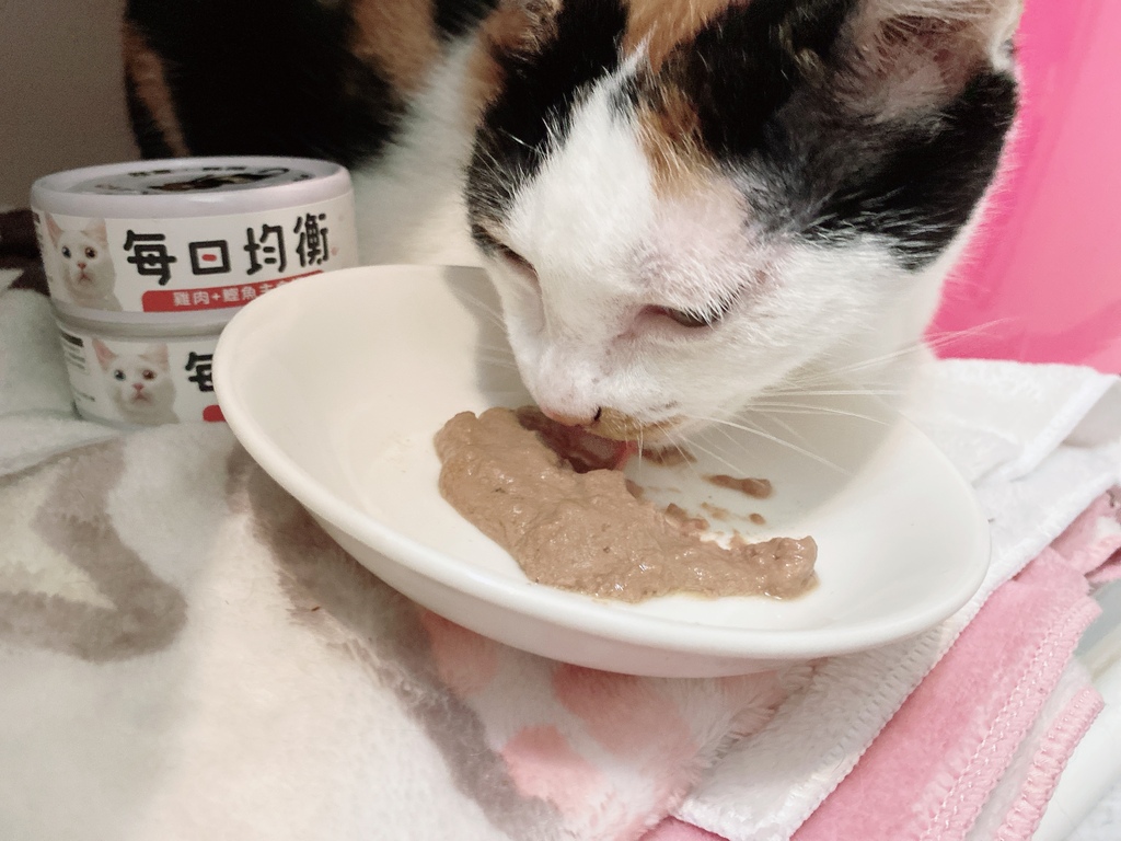 低敏、低磷主食罐推薦｜貓侍Catpool X 花花動物醫院｜