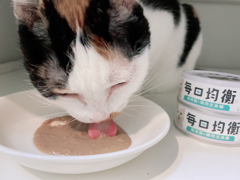 低敏、低磷主食罐推薦｜貓侍Catpool X 花花動物醫院｜