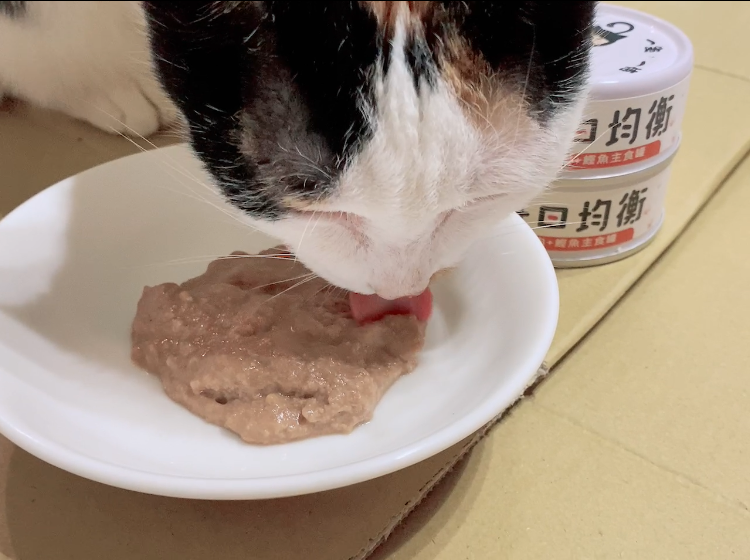 低敏、低磷主食罐推薦｜貓侍Catpool X 花花動物醫院｜