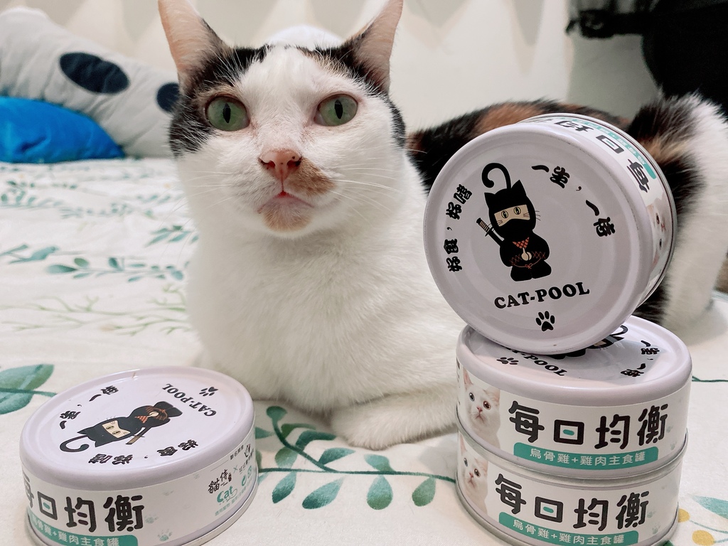 低敏、低磷主食罐推薦｜貓侍Catpool X 花花動物醫院｜